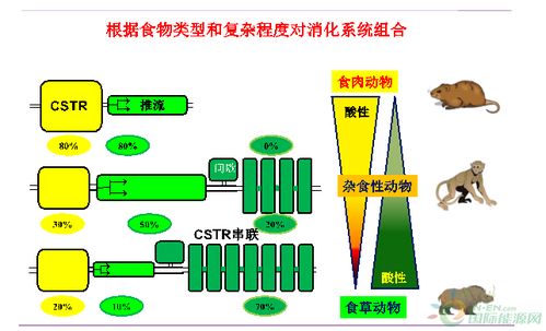 王凱軍 沼氣新技術(shù)發(fā)展及產(chǎn)品高值化利用