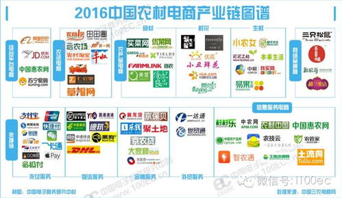 如何 落地 打造農(nóng)村電商服務(wù)體系