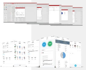 企業(yè)營(yíng)銷erp軟件管理中的 黑馬