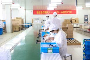 直擊阿里巴巴產業帶 百萬工廠三班倒,源頭好貨直供天貓雙11
