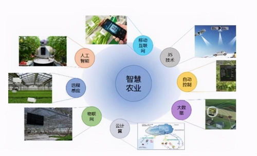 智慧農(nóng)業(yè),鄉(xiāng)村振興的關(guān)鍵
