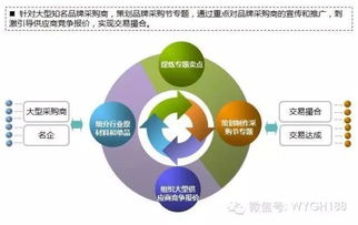 互聯(lián)網(wǎng)電商b2c b2b平臺(tái)運(yùn)營(yíng)能力模型及策略體系