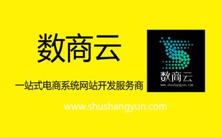 數(shù)商云 b2b電子商務(wù)系統(tǒng)平臺(tái)建設(shè)開(kāi)發(fā),必要的準(zhǔn)備有哪些
