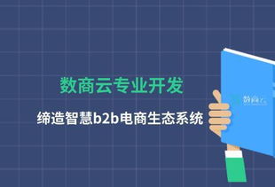 數(shù)商云專業(yè)開(kāi)發(fā),締造智慧b2b電商生態(tài)系統(tǒng)