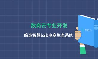 數商云專業開發,締造智慧b2b電商生態系統