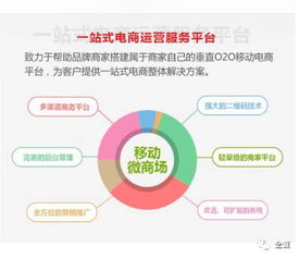 電商saas 運營是不可比擬的優勢