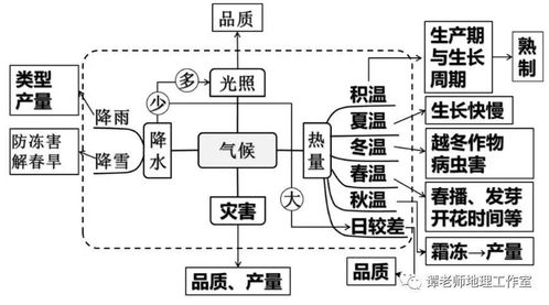 高中地理農業區位條件及其影響 我國農業地理地圖 世界主要農業地域類型知識詳解,附農業生產與鄉村發展